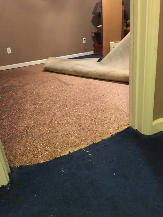Carpet pad removal revealing water damage during Drying & Dehumidification in Kinderhook
