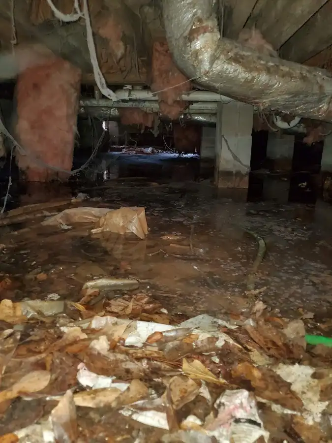 Crawl space flood assessment for Leak Detection & Repair in Kinderhook