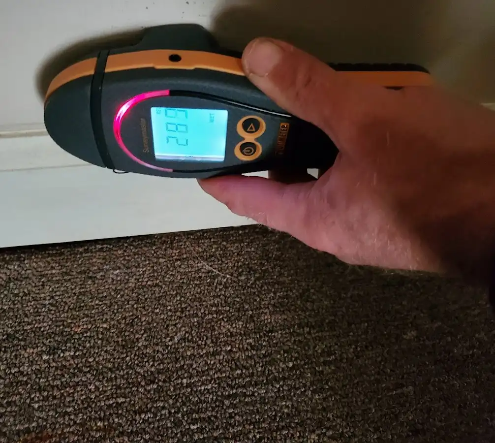 Moisture detection at baseboard during Burst Pipe Cleanup in Kinderhook
